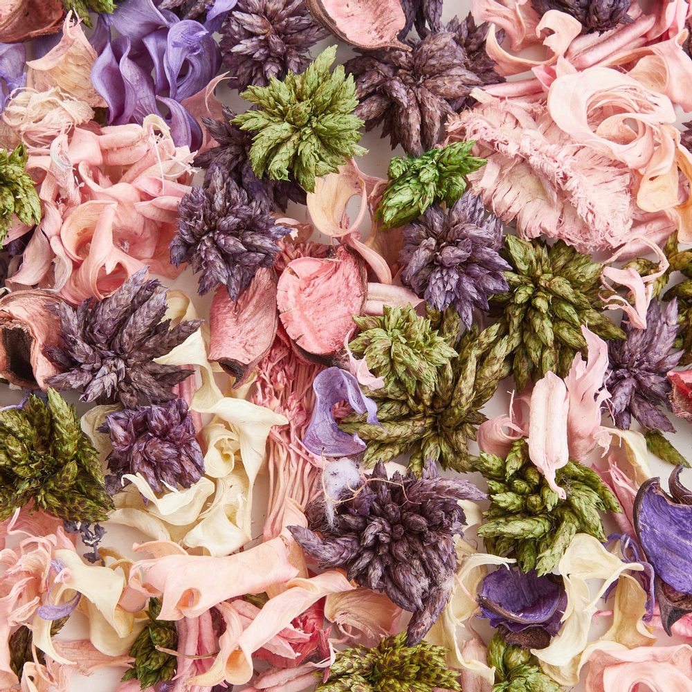 FLOWER MARKET Mix sušených květin - růžová