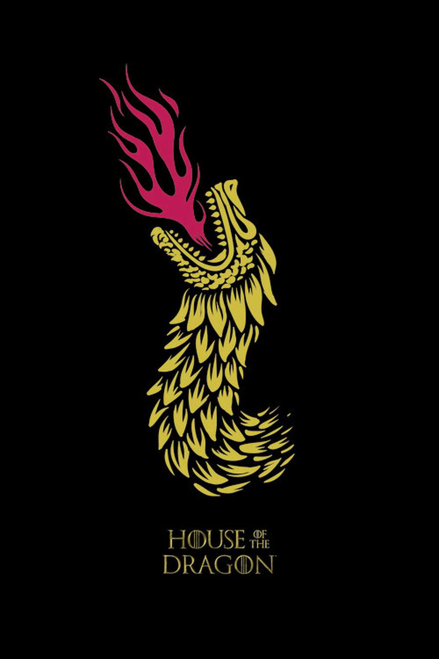 Fototapeta House of Dragon - Dragon's Fire,