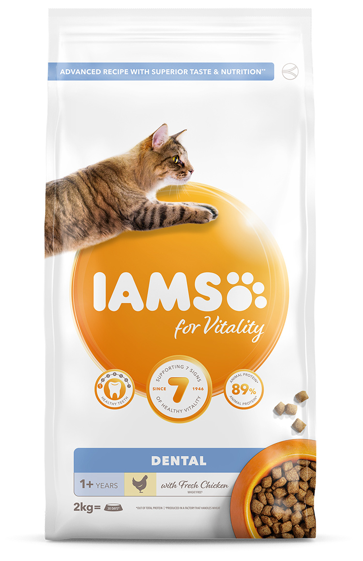 IAMS Cat Adult Dental Chicken 2kg