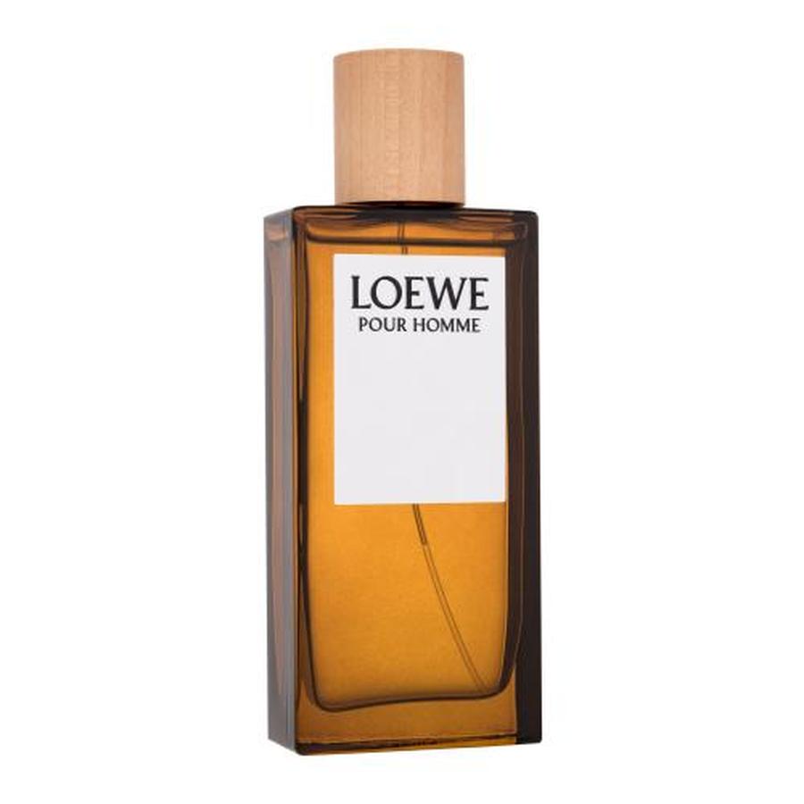 Loewe Pour Homme 100 ml toaletní voda pro muže