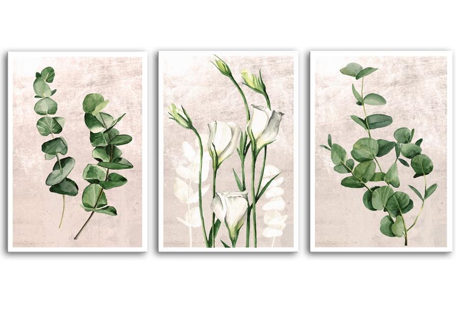 Obraz na plátně PLANTS II. set 3 kusy 50x70 cm Ludesign