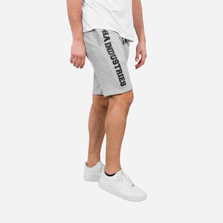 Pánské šortky Alpha Industries Big Letters short 126344 17