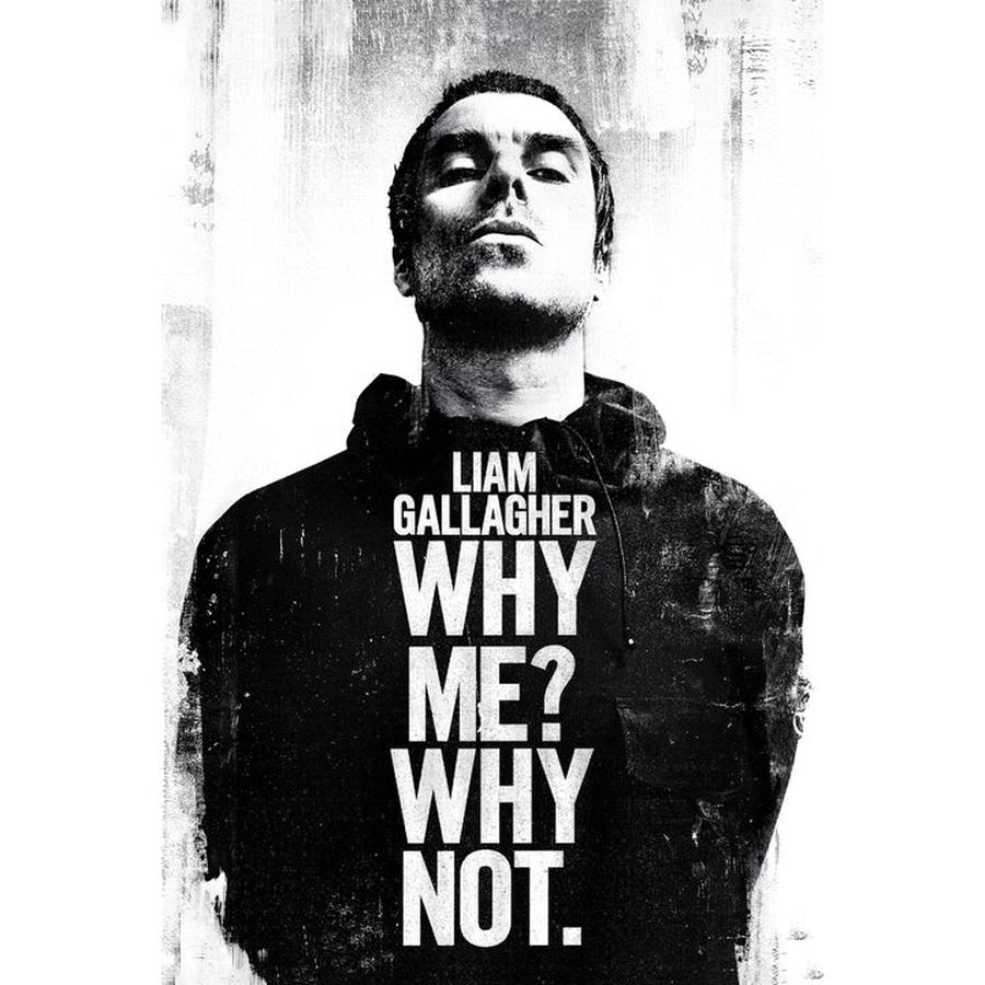 Plakát, Obraz - Liam Gallagher - Why Me Why Not,