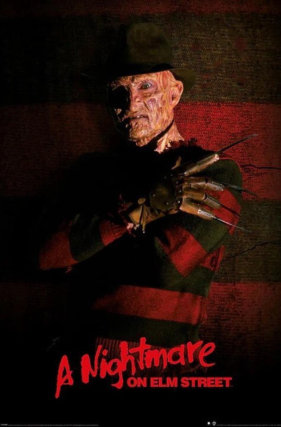 Plakát, Obraz - Noční můra v Elm Street - Freddy Krueger,