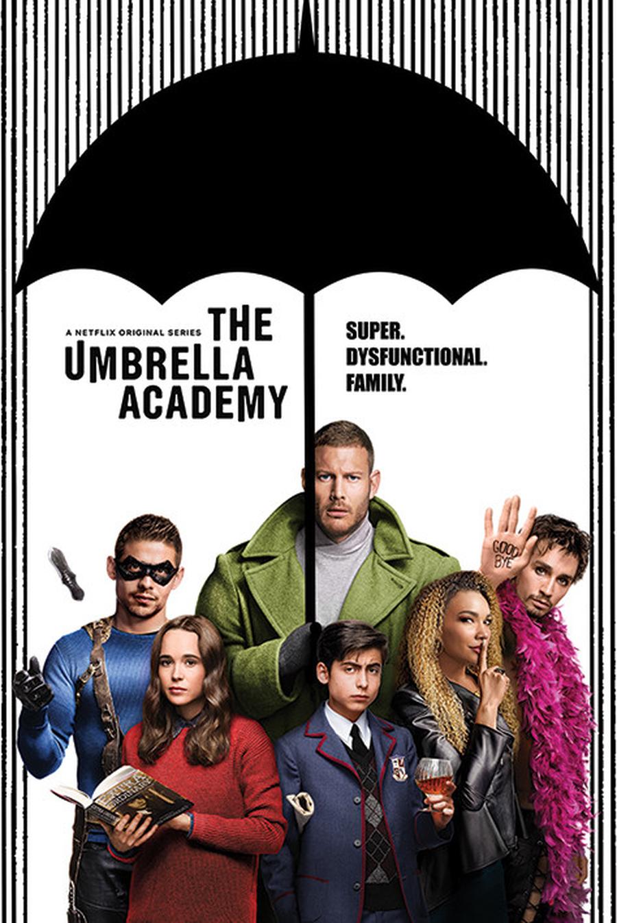 Plakát, Obraz - The Umbrella Academy - Super Dysfunctional Family,