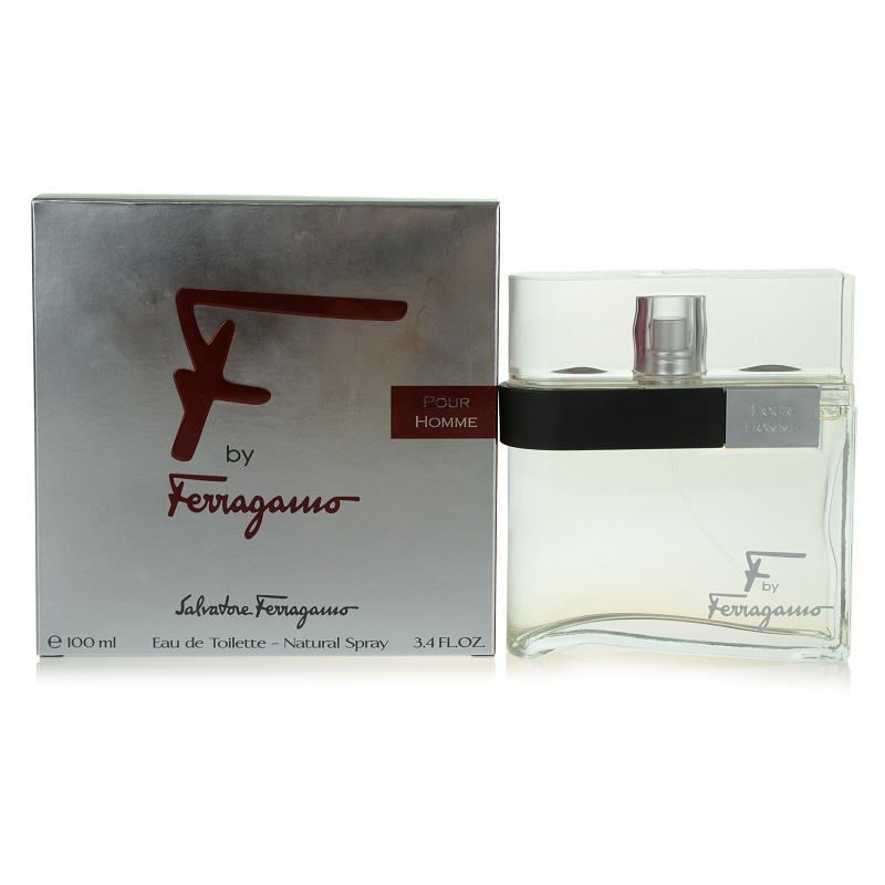 Salvatore Ferragamo F by Ferragamo toaletní voda pro muže 100 ml