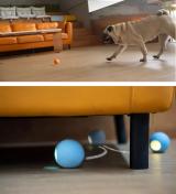 CHEERBLE Mini Ball Interaktivní míč pro psy oranžový