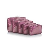 Heys Metallic Packing Cube 5pc Burgundy