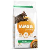 IAMS Adult Cat Chicken 2kg