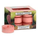 Svíčka Yankee candle Lahodná kvajáva, 12ks