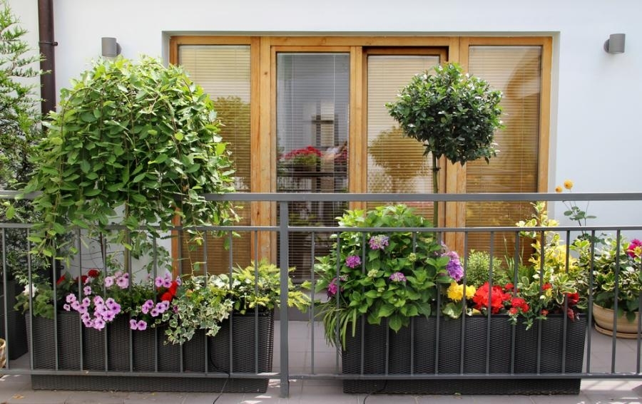 Barevný a voňavý balkón od jara až do podzimu