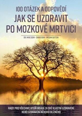 100 otázek a odpovědí, jak se uzdravit po mozkové mrtvici - Mike Dow, David Dow, Megan Suttonová