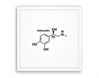 Adrenalin Fotoobraz 40x40 cm