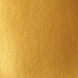 Akrylová barva Basics 118ml – 051 gold