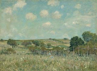 Alfred Sisley - Obrazová reprodukce Meadow, 1875,