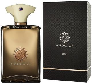 Amouage Dia Pour Homme - EDP 100 ml