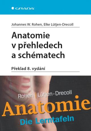 Anatomie v přehledech a schématech, Rohen W. Johannes