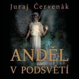 Anděl v podsvětí - Juraj Červenák - audiokniha
