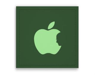 Apple Jobs Fotoobraz 40x40 cm