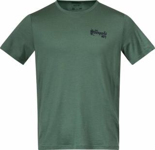 Bergans Graphic Wool Tee Dark Jade Green/Navy Blue XL