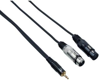 Bespeco EAYMS2FX500 5 m Audio kabel