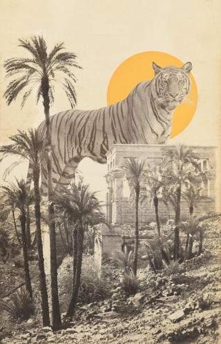 Bodart, Florent - Obrazová reprodukce Giant Tiger in Ruins and Palms,