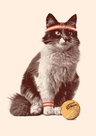 Bodart, Florent - Obrazová reprodukce Tennis Cat, 2021,