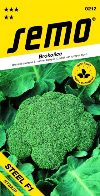 Brokolice - Steel  30s celoroční