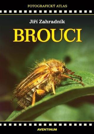 Brouci - Jiří Zahradník