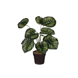 Calathea hrnková umělá krémovo-zelená 40cm