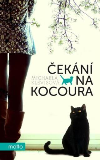 Čekání na kocoura - Michaela Klevisová - e-kniha