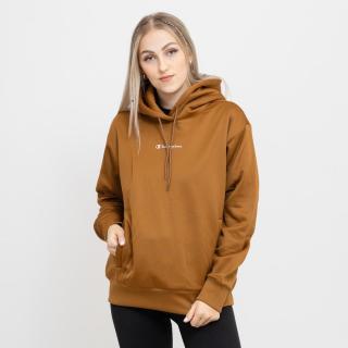 Champion Hooded Sweatshirt XS