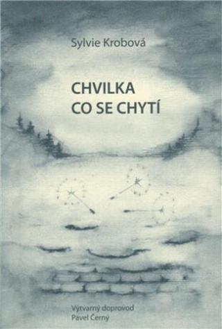 Chvilka co se chytí - Pavel Černý, Sylvie Krobová