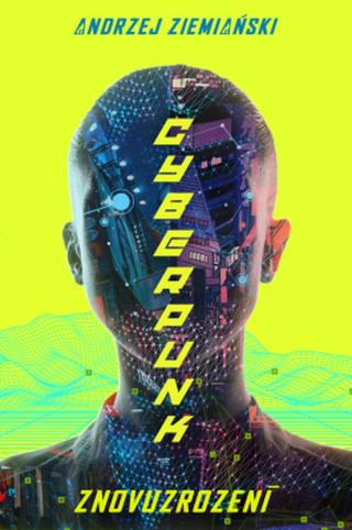 Cyberpunk - Andrzej Ziemianski - e-kniha