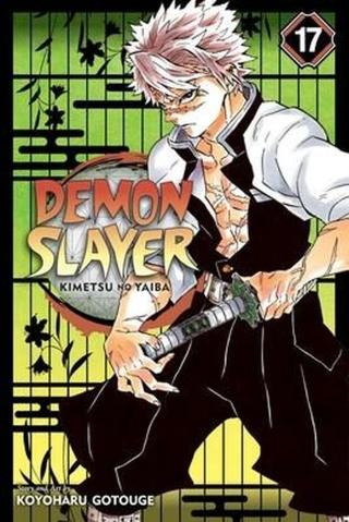 Demon Slayer: Kimetsu no Yaiba 17 - Gotouge Koyoharu