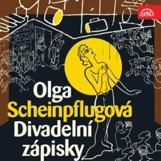 Divadelní zápisky - Karel Čapek, Olga Scheinpflugová - audiokniha
