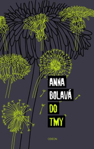Do tmy - Anna Bolavá - e-kniha