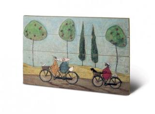 Dřevěný obraz Sam Toft - A Nice Day For It,