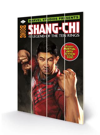 Dřevěný obraz Shang Chi and the Legends of the Ten Rings - Battle Ready,