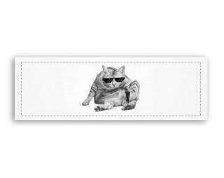 Drsná kočka Fotoobraz 150x55 cm panorama