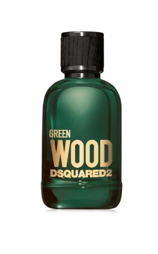 DSQUARED2 Wood Green toaletní voda pro muže 100 ml