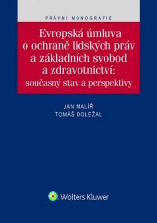 Evropská úmluva o ochraně lidských práv a svobod - Tomáš Doležal, Jan Malíř