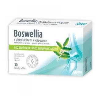 FAVEA Boswellia s chondroitinem a kolagenem 30 tablet