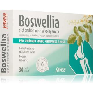 FAVEA Boswellia s chondroitinem a kolagenem doplněk stravy pro správnou funkci chrupavek a kostí 30 tbl