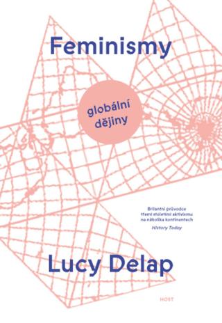 Feminismy - Lucy Delap - e-kniha