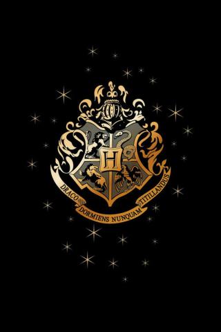 Fototapeta Hogwarts Golden Emblem,