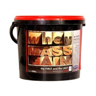 Gainer Whey Mass Gain 3000 g vanilka - Megabol