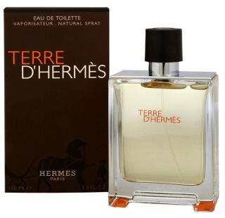 Hermes Terre D´ Hermes - EDT 50 ml