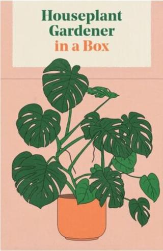 Houseplant Gardener in a Box - Jane Perrone