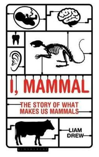 I, Mammal : The Story of What Makes Us Mammals - Drew Liam